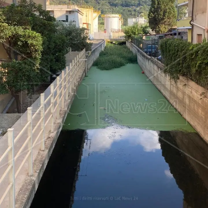 Vibo Marina, il fosso Antonucci è una fogna a cielo aperto. I residenti: «Costretti a barricarci in casa»