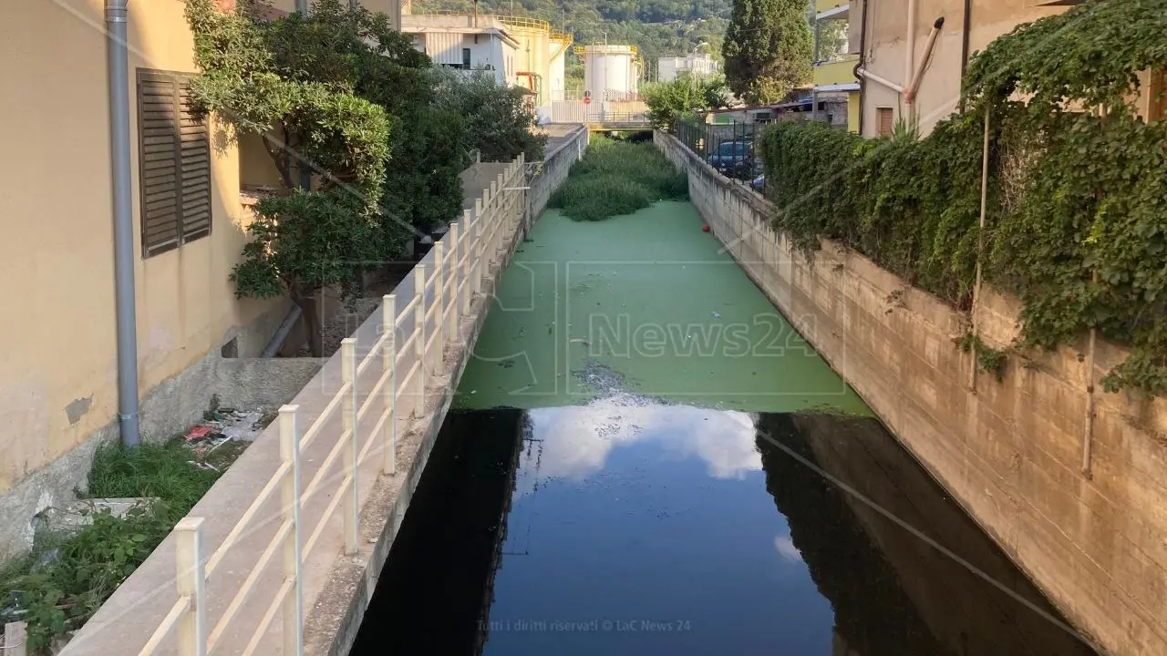 Vibo Marina, il fosso Antonucci è una fogna a cielo aperto. I residenti: «Costretti a barricarci in casa»