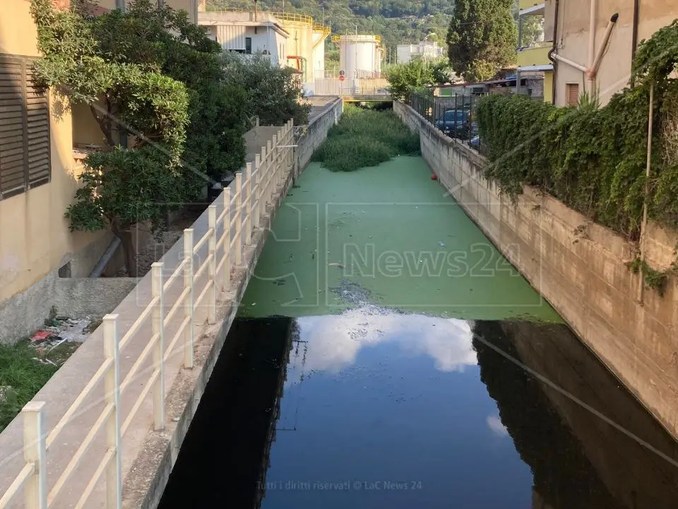Vibo Marina, il fosso Antonucci è una fogna a cielo aperto. I residenti: «Costretti a barricarci in casa»