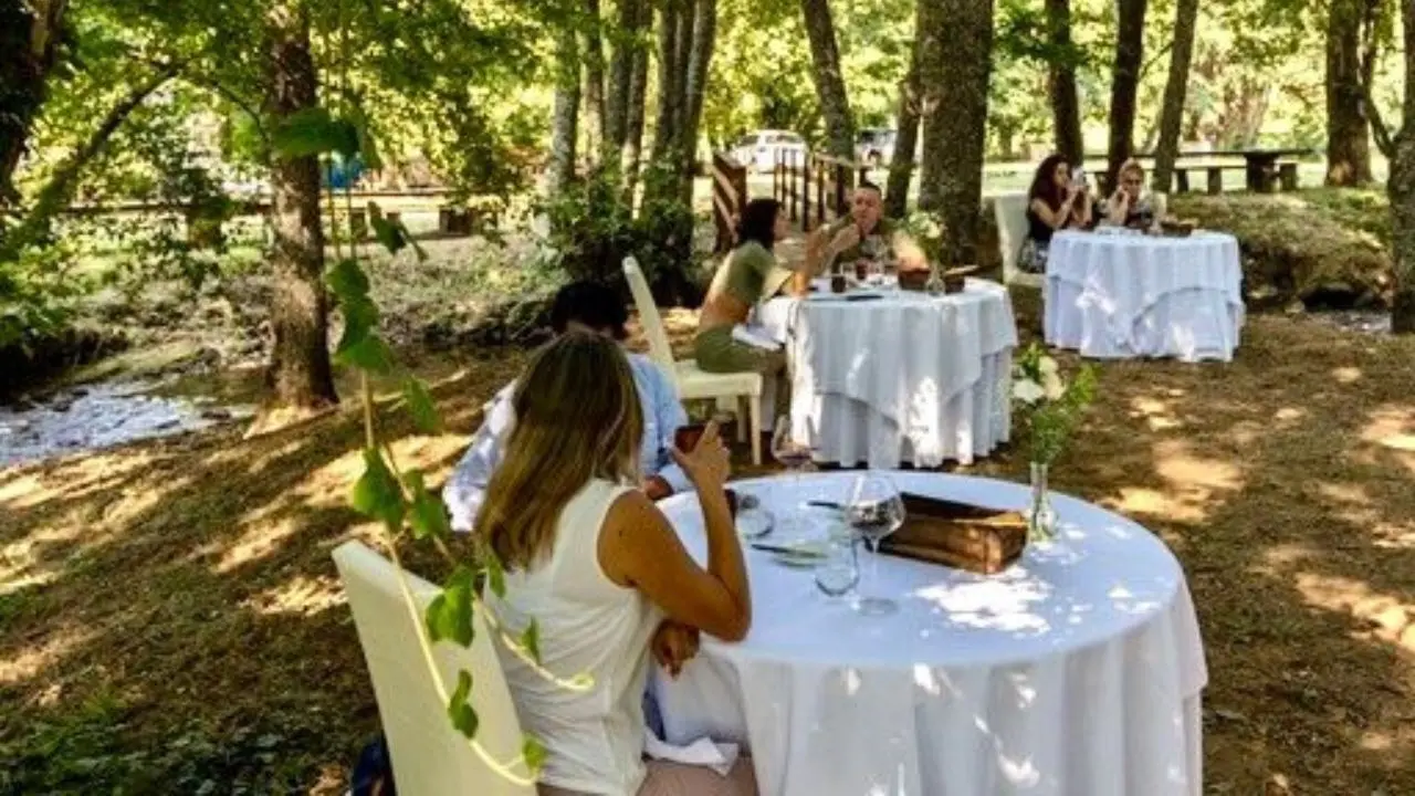 Un ristorante nel bosco, in Calabria si può: pranzo speciale nella natura incontaminata della Sila