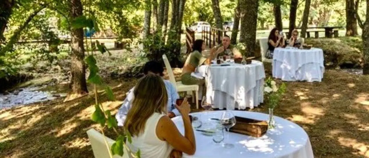 Un ristorante nel bosco, in Calabria si può: pranzo speciale nella natura incontaminata della Sila