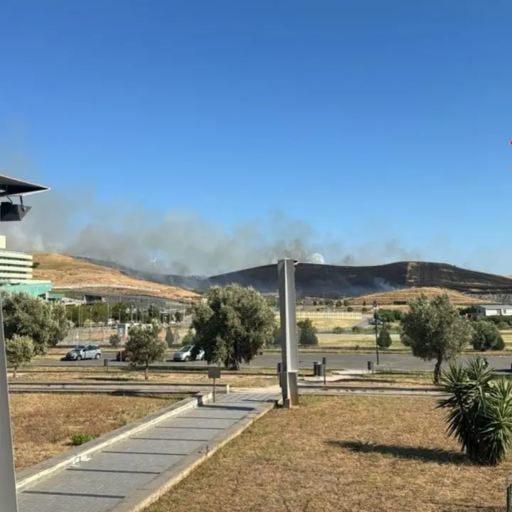 Catanzaro, vasto incendio nelle vicinanze del policlinico e dei parcheggi della Cittadella regionale: disagi per il fumo