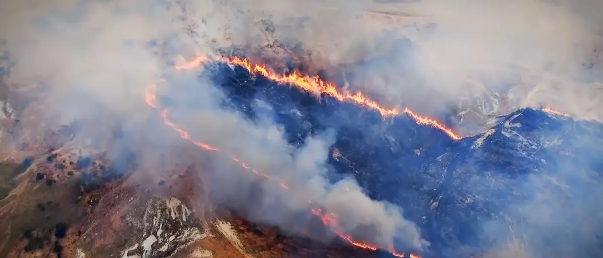 Emergenza incendi, esposto del Comitato cittadino di Paola a due Procure:\u00A0«Il fenomeno ormai è presente tutto l'anno»\n