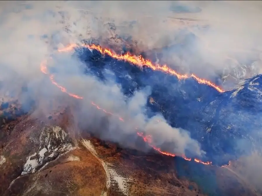 Emergenza incendi, esposto del Comitato cittadino di Paola a due Procure: «Il fenomeno ormai è presente tutto l'anno»