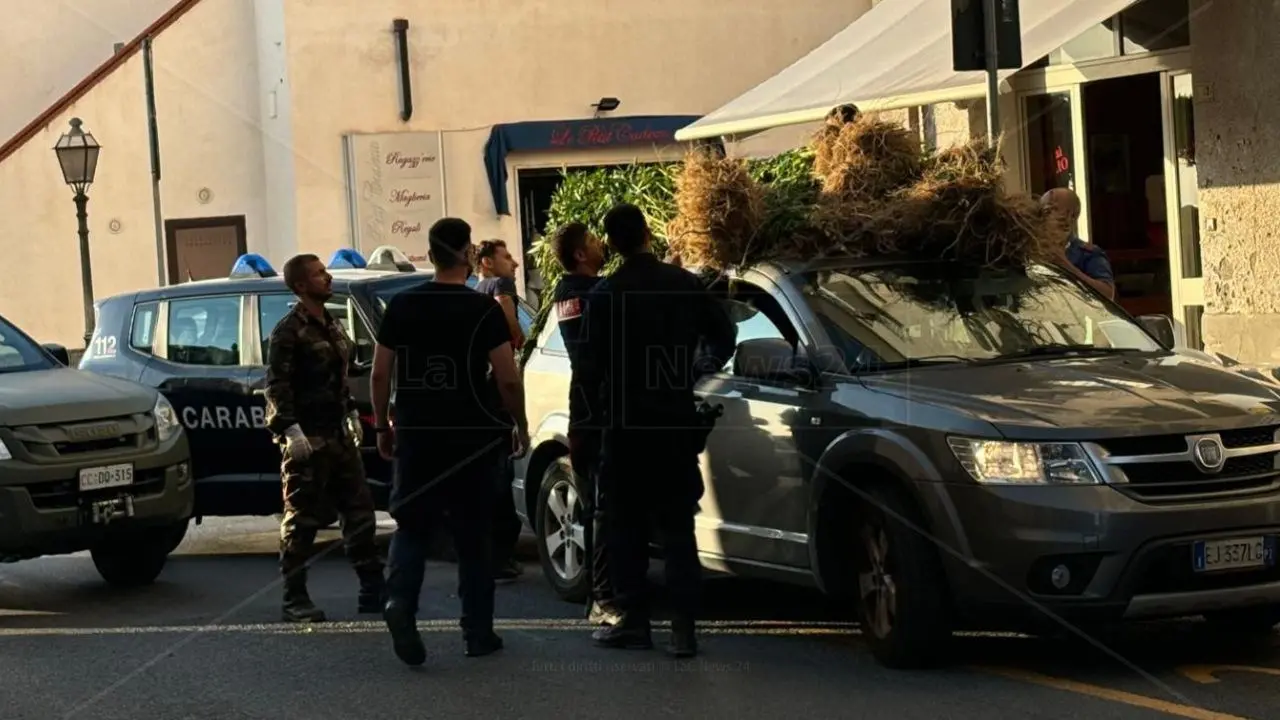 Maxi sequestro di droga a Cetraro: lo stupefacente legato al tetto di un’auto e portato in caserma