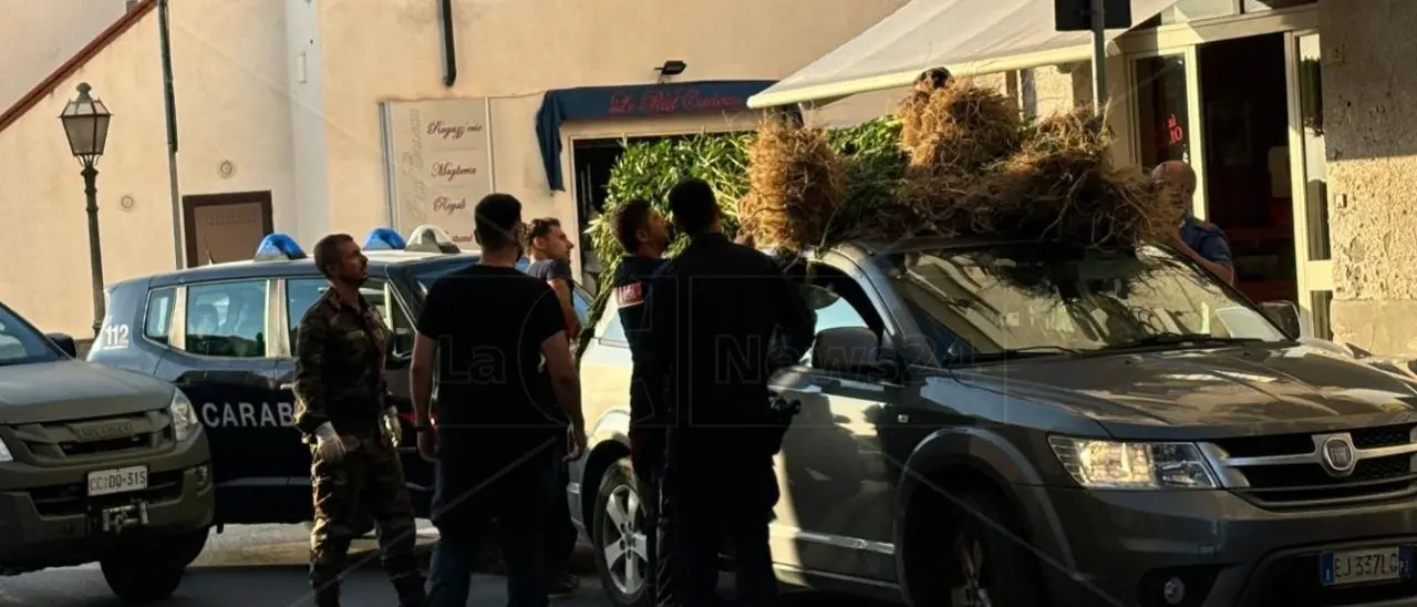 Maxi sequestro di droga a Cetraro: lo stupefacente legato al tetto di un’auto e portato in caserma
