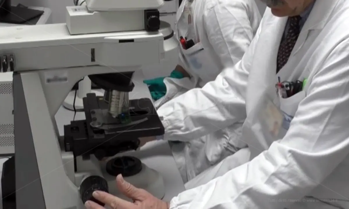 All’Unical arriva il corso di laurea in Ingegneria biomedica: ecco il bando, iscrizioni entro il 30 agosto