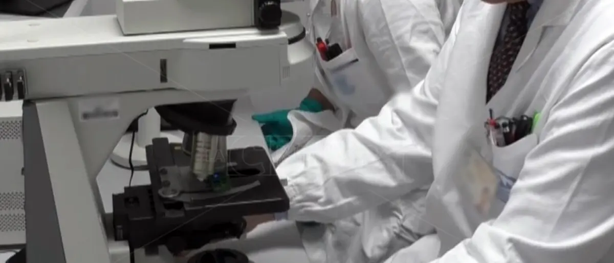 All’Unical arriva il corso di laurea in Ingegneria biomedica: ecco il bando, iscrizioni entro il 30 agosto