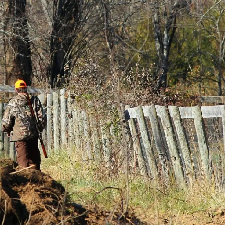 Legambiente, Lipu e Wwf plaudono alla decisione della Regione: «Ottimo posticipare l’apertura della caccia»