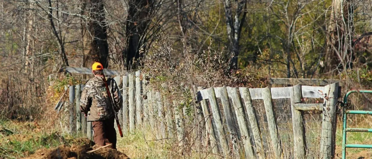 Legambiente, Lipu e Wwf plaudono alla decisione della Regione: «Ottimo posticipare l’apertura della caccia»