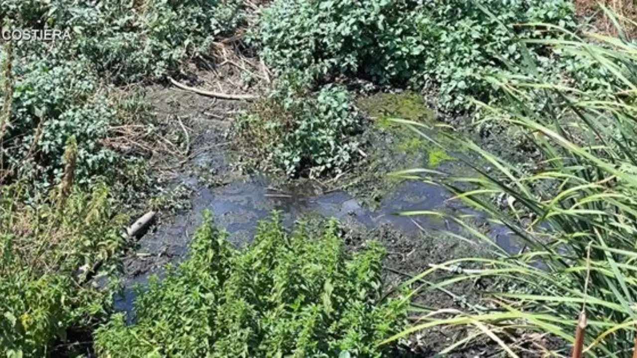 Catanzaro, reflui non depurati scaricati nel torrente Fiumarella: sequestrato uno scarico fognario