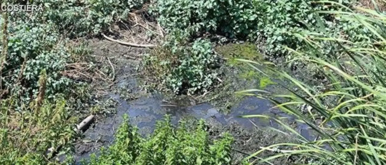 Catanzaro, reflui non depurati scaricati nel torrente Fiumarella: sequestrato uno scarico fognario