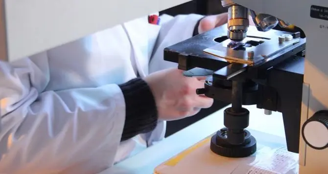 Cellule umane “addestrate” a combattere il tumore al cervello: importante scoperta in Australia