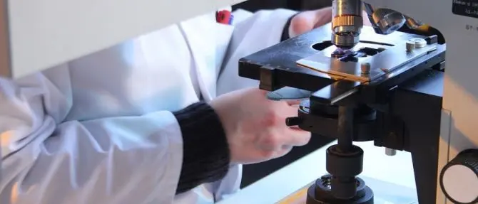 Cellule umane “addestrate” a combattere il tumore al cervello: importante scoperta in Australia