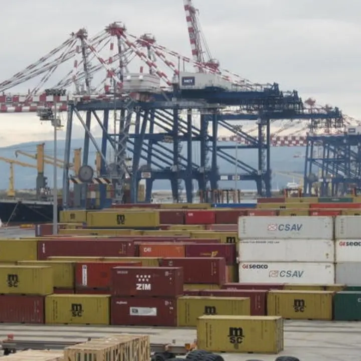Il porto di Gioia Tauro cresce nonostante la crisi del Mar Rosso: «Traffico aumentato del 10% rispetto allo scorso anno»