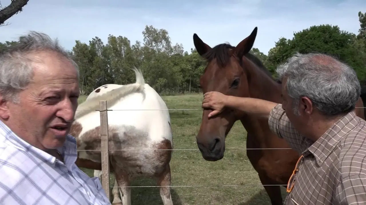 Eugenio Nocito, il gaucho di Altomonte: «Stare lontano dalla Calabria non è semplice ma in Uruguay facciamo un grande lavoro»