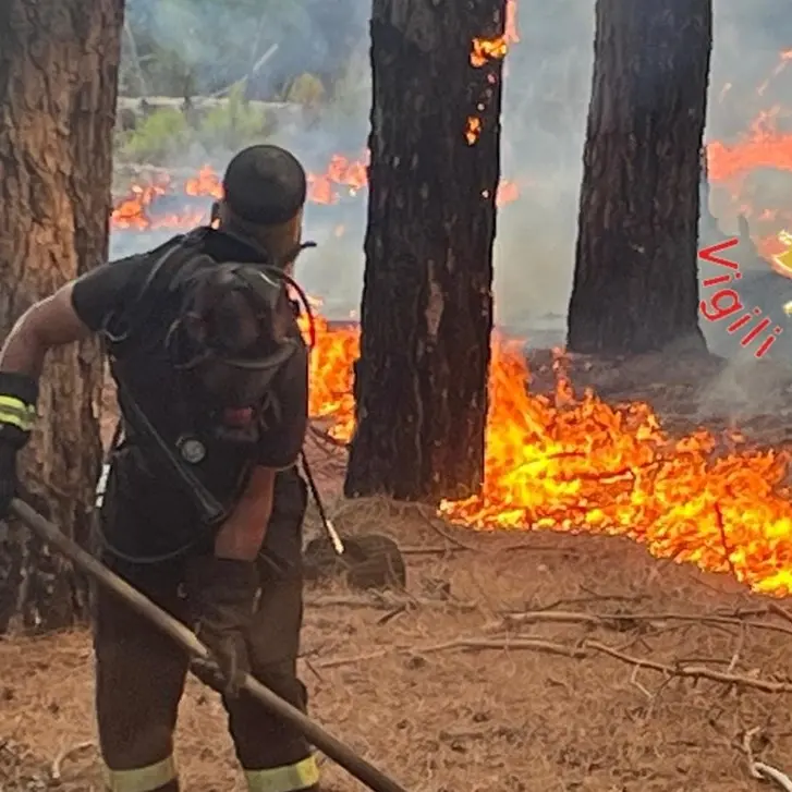 Incendio a Bagaladi, in gran parte domate le fiamme che minacciavano case e aziende agricole