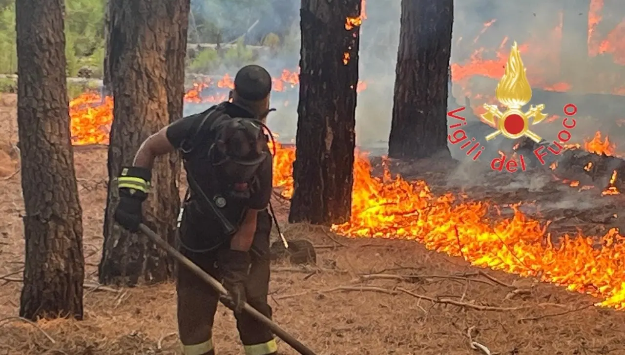 Incendio a Bagaladi, in gran parte domate le fiamme che minacciavano case e aziende agricole