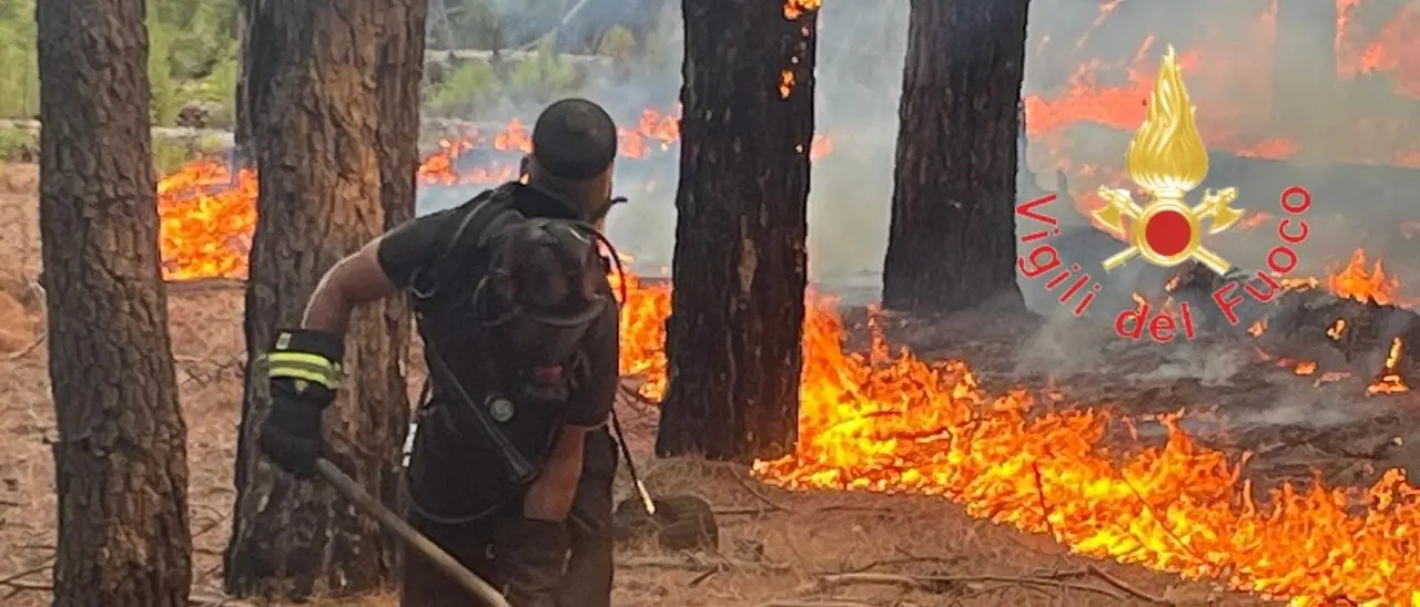 Incendio a Bagaladi, in gran parte domate le fiamme che minacciavano case e aziende agricole