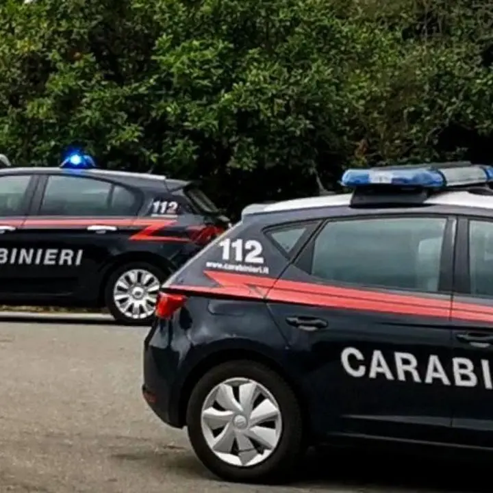 Sfiorata tragedia sull’Aspromonte: i carabinieri soccorrono neonata in blocco respiratorio