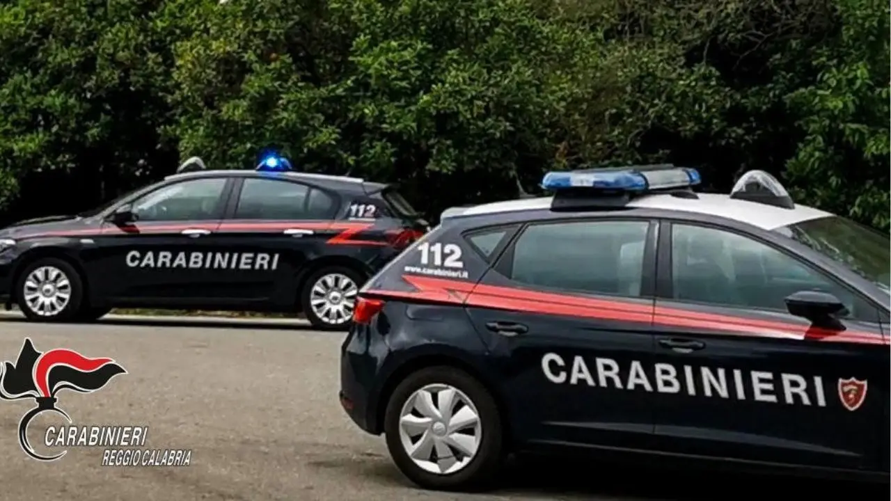 Sfiorata tragedia sull’Aspromonte: i carabinieri soccorrono neonata in blocco respiratorio