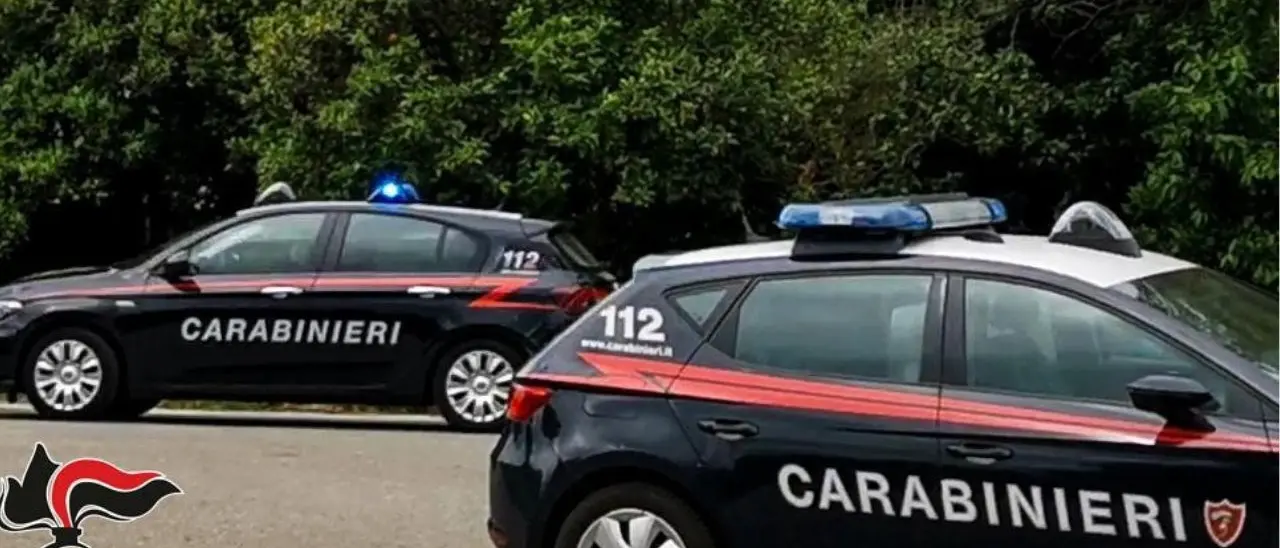 Sfiorata tragedia sull’Aspromonte: i carabinieri soccorrono neonata in blocco respiratorio