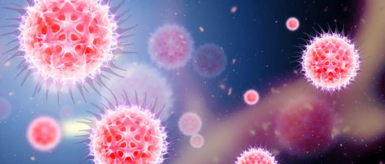 Vaiolo delle scimmie, «probabilità di casi importati in Europa». Attenzione alta anche in Italia, ma la situazione è sotto controllo