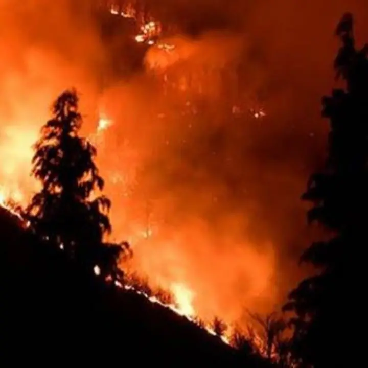 Le fiamme divorano la Sila: canadair in volo da tre giorni per spegnere un grosso incendio a Longobucco