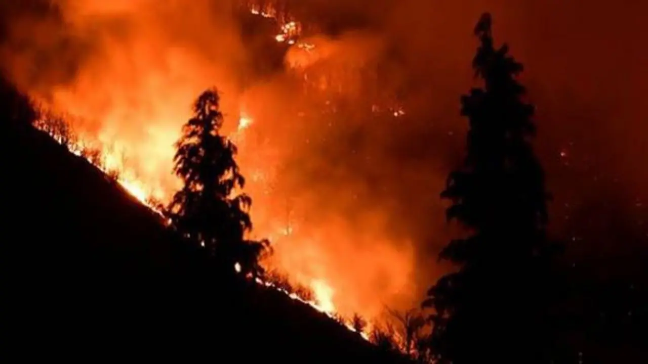 Le fiamme divorano la Sila: canadair in volo da tre giorni per spegnere un grosso incendio a Longobucco