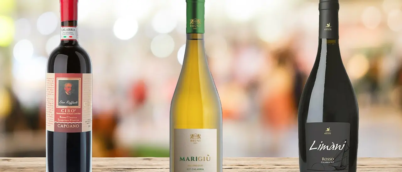 Cirò Marina, Melissa, Zambrone e vini da tre vitigni autoctoni calabresi: Gaglioppo, Pecorello, Magliocco Canino