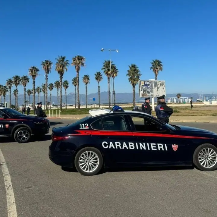 Corigliano Rossano, bypass al contatore del suo negozio di surgelati: arrestato