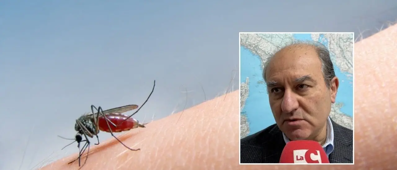 Febbre del Nilo occidentale, primo caso certificato in Calabria: cos’è e come si trasmette il virus