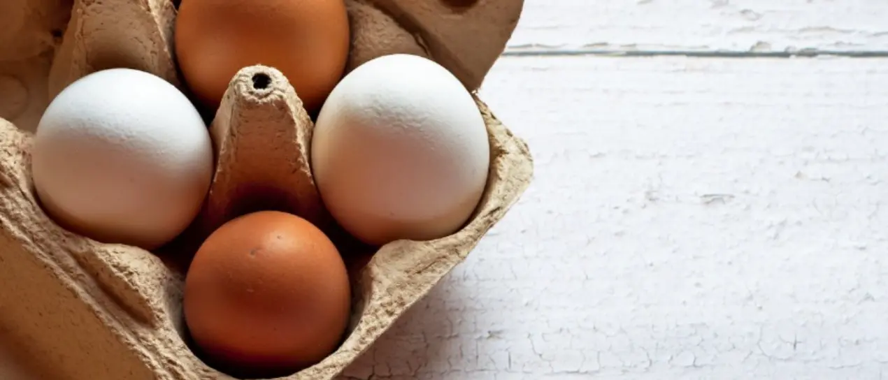 Rischio salmonella nelle uova vendute da 28 aziende diverse: ecco tutti i marchi e i lotti da non consumare