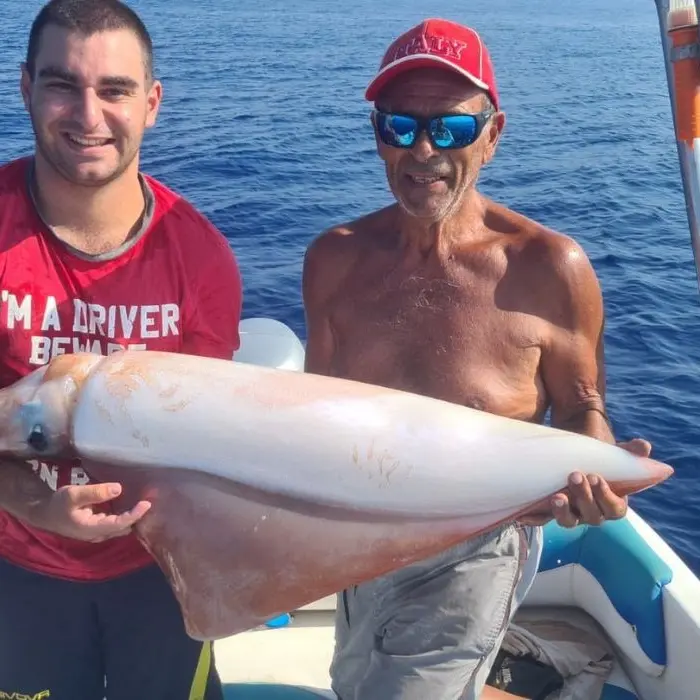 Un calamaro gigante pescato nelle acque di Saline Joniche: pesa quindici chili