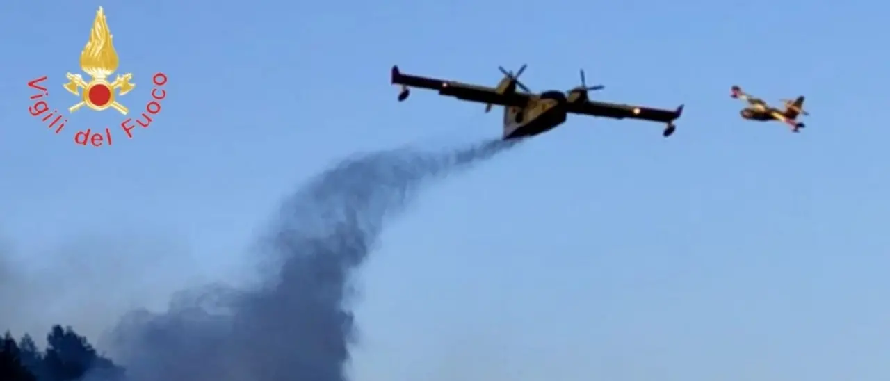 Incendio boschivo a Cropalati, grazie ai tempestivi interventi il rogo viene domato