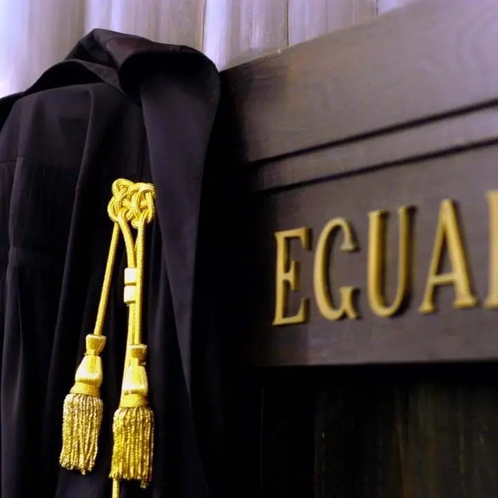 Avvocati, professione in calo al Sud: in Calabria guadagnano la metà rispetto alla media nazionale