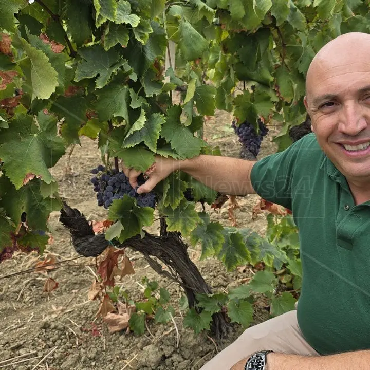 Pasquale Iuzzolini: «Per il Gaglioppo e i vini di Cirò il 2024 sarà un’annata straordinaria e da ricordare»