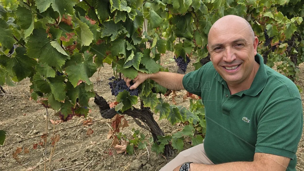 Pasquale Iuzzolini: «Per il Gaglioppo e i vini di Cirò il 2024 sarà un’annata straordinaria e da ricordare»