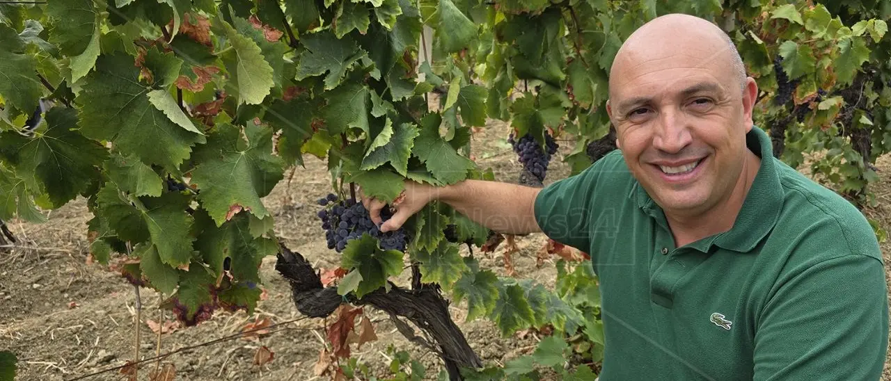 Pasquale Iuzzolini: «Per il Gaglioppo e i vini di Cirò il 2024 sarà un’annata straordinaria e da ricordare»