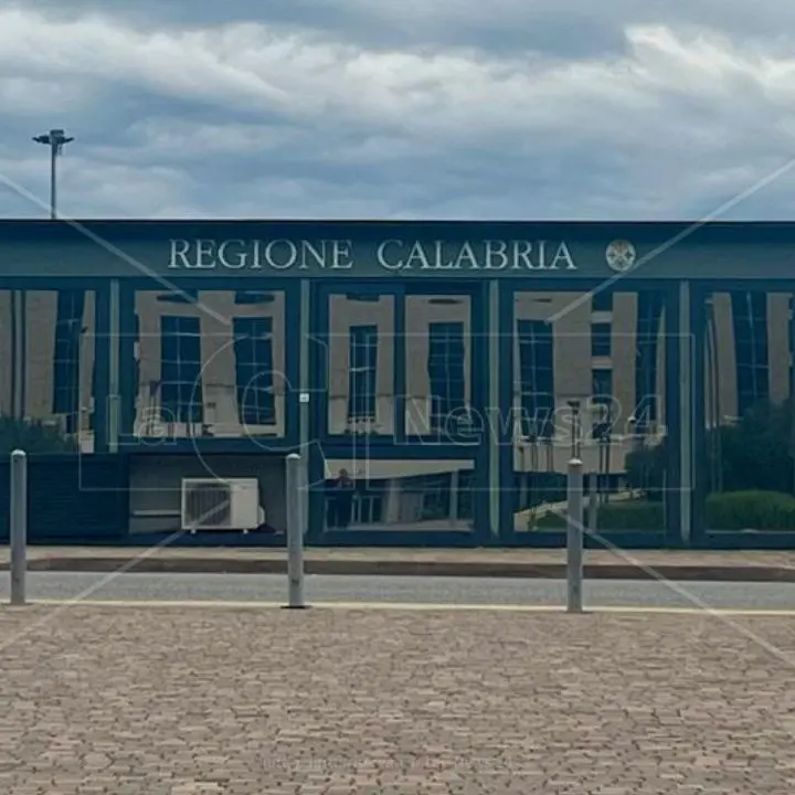 Forestazione, il destino dei lavoratori ex legge 15 al centro di un confronto tra Regione e Calabria verde