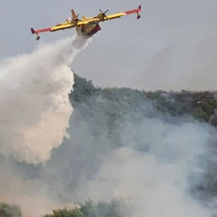 Vasto incendio in Aspromonte, le fiamme sopra il Santuario di Polsi: in azione due canadair