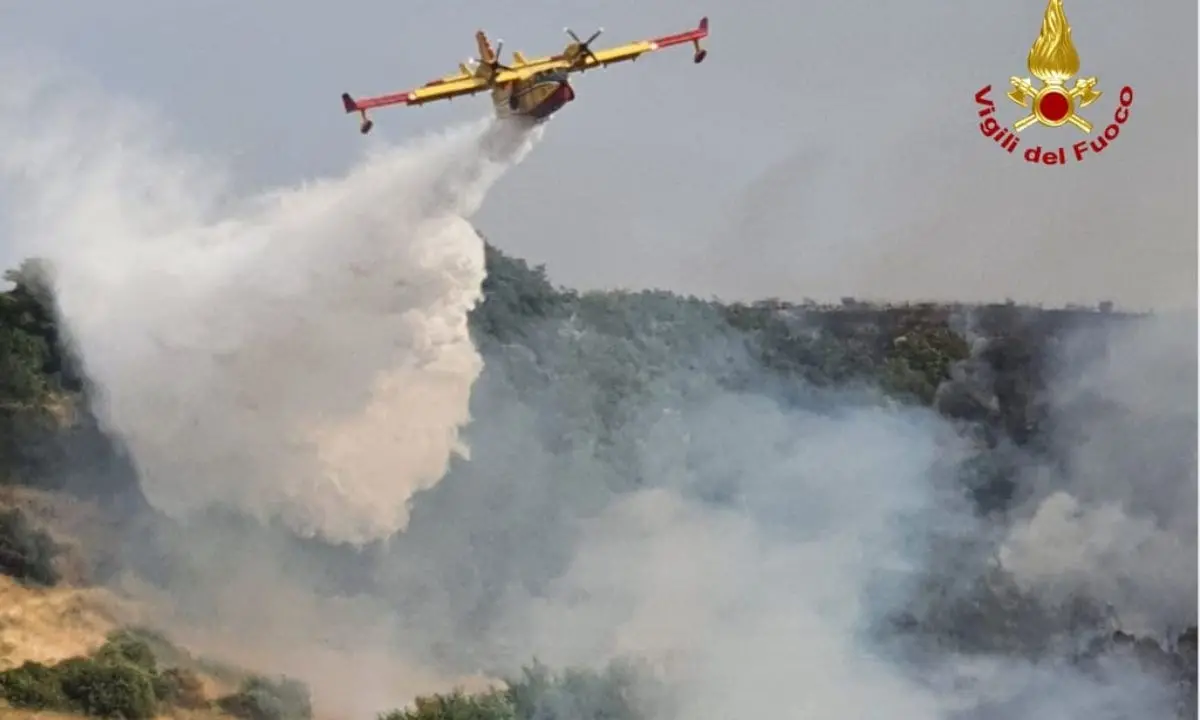 Vasto incendio in Aspromonte, le fiamme sopra il Santuario di Polsi: in azione due canadair