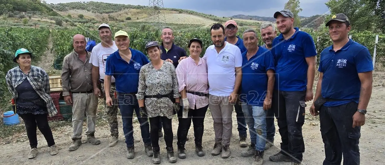 A Melissa una ricca e suggestiva vendemmia tra vitigni autoctoni e varietà internazionali