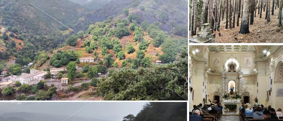 Viaggio nell’Aspromonte ferito degli incendi appiccati da mani criminali: a Polsi bruciati 50 ettari di Parco nazionale