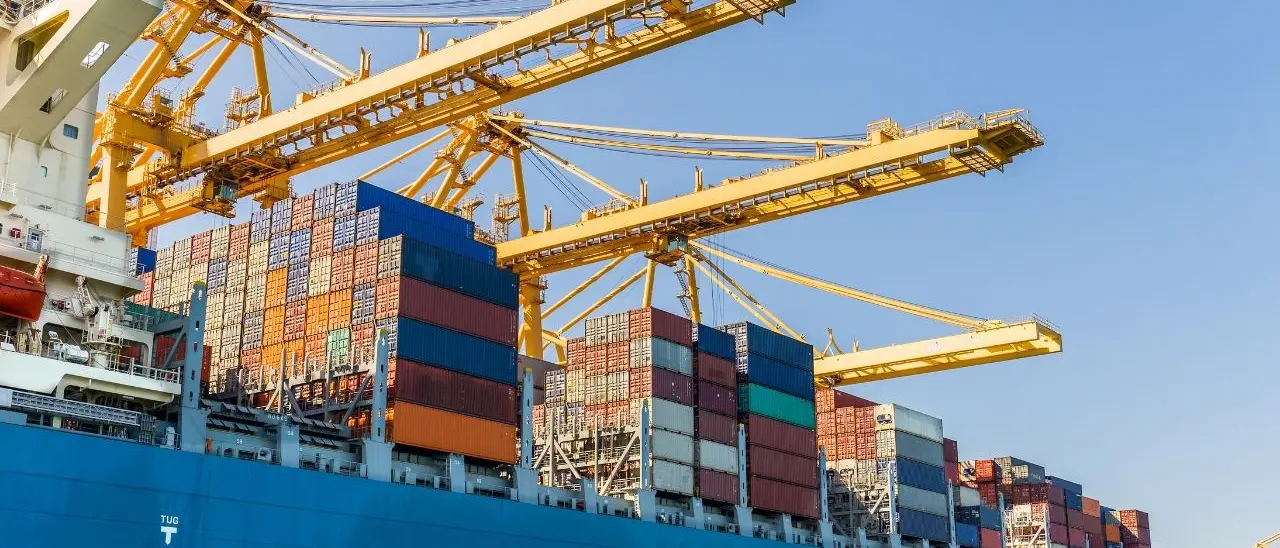 Le navi cargo non possono scaricare “in proprio” le merci che trasportano: il Tar Calabria dà ragione all’Autorità portuale