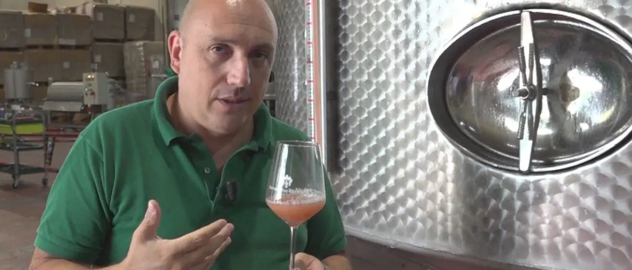 La vendemmia e la produzione di vino in cantina: a tu per tu con Tenuta Iuzzolini e i tesori del Cirotano