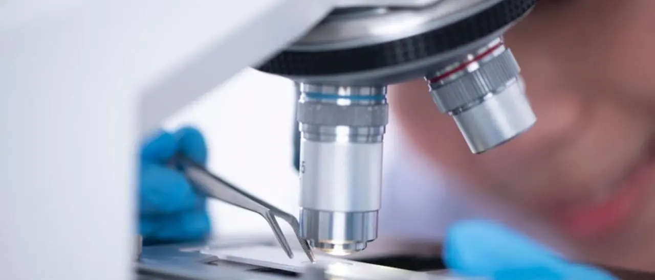 Tumori, domani il Lymphoma Day: ogni anno 15mila nuovi casi. Ecco i 5 campanelli di allarme