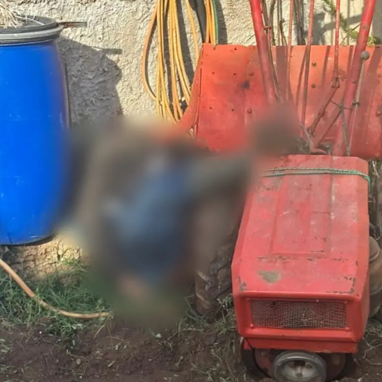 Muore mentre lavora con una motozappa nel giardino di casa, tragedia nel Vibonese