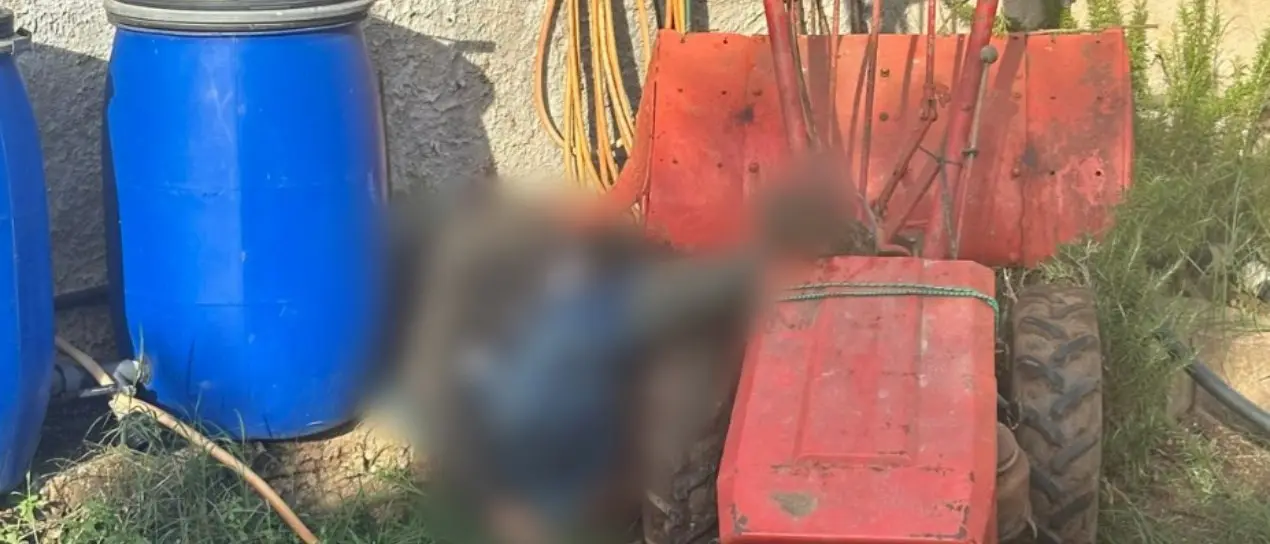 Muore mentre lavora con una motozappa nel giardino di casa, tragedia nel Vibonese