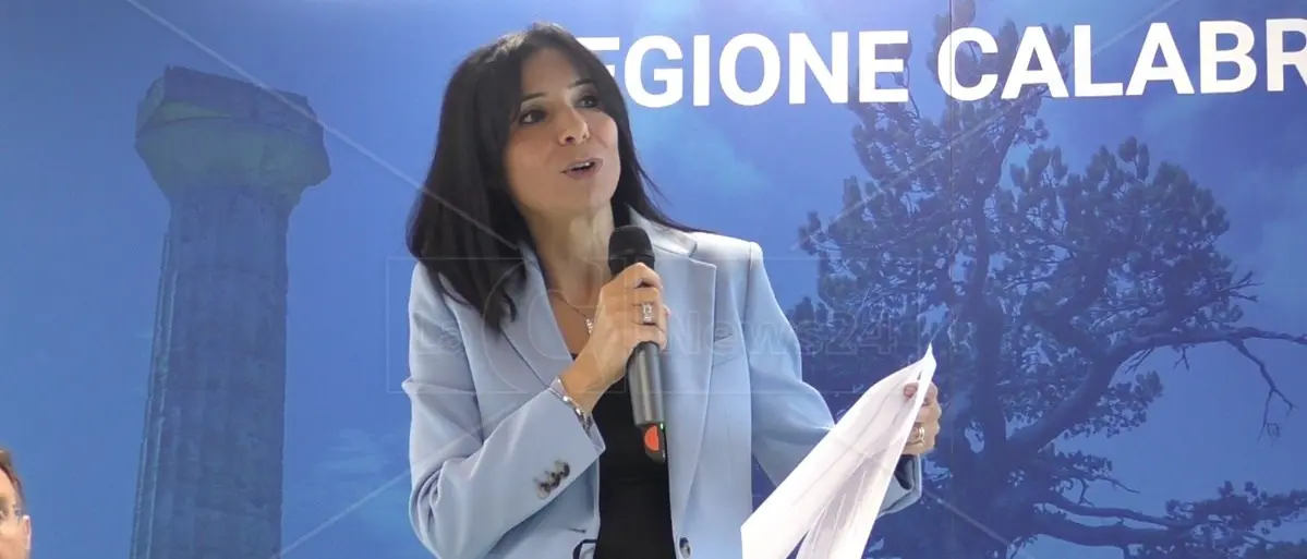 Uso di armi europee in Russia, l’eurodeputata Princi (Forza Italia) vota contro le indicazioni di Tajani ma si corregge subito